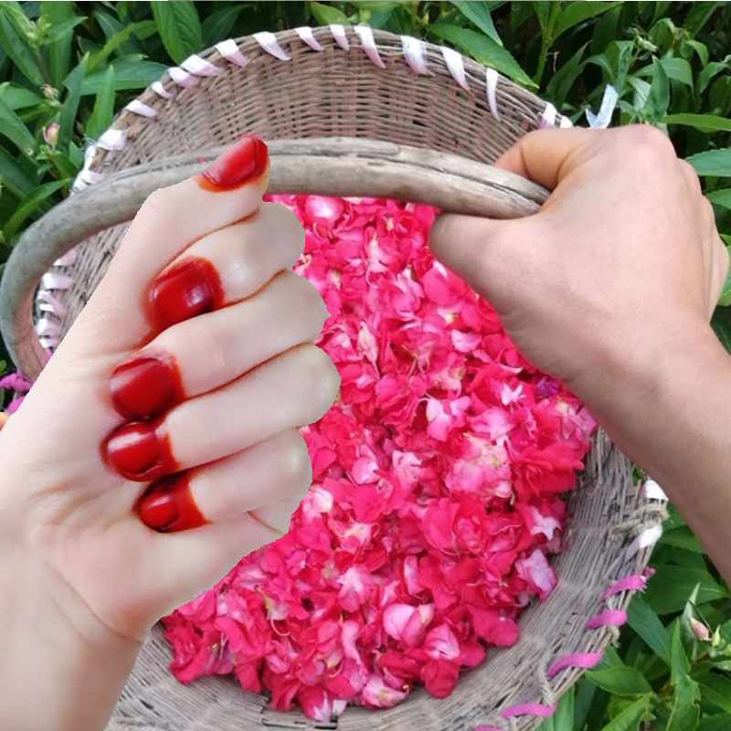 40g Henna Nail Dye Powder For  - Nail Art For Men recension och pris